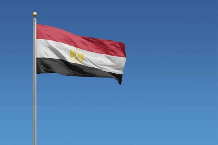 الدكتور أحمد محرم watanserb.com