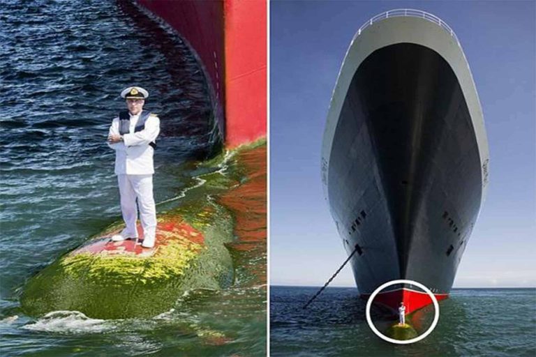 أجرأ صورة فى العالم watanserb.com