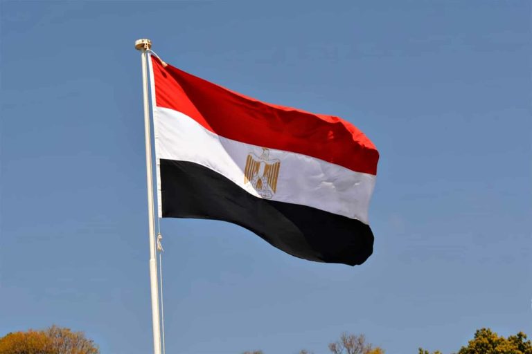 أدباء مصر يدعون للقتل بينما فكرين العالم يدعون إلى السلام أدباء مصر يدعون للقتل watanserb.com