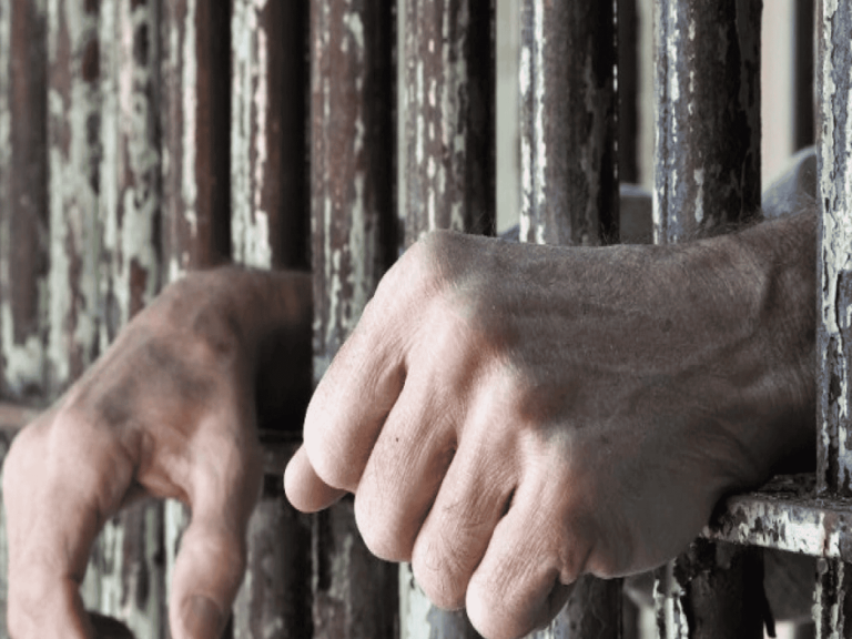 آلاف الأشخاص حول العالم يبعثون ببطائق التضامن مع المعتقل في سجون الإمارات الدكتور الركن التضامن مع المعتقل watanserb.com