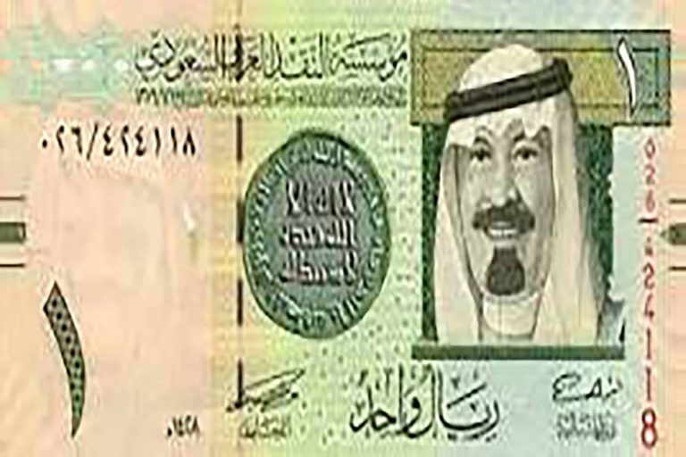 سعودي وابنته watanserb.com