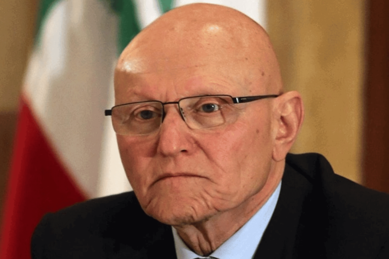 الدعم السعودي للبنان watanserb.com