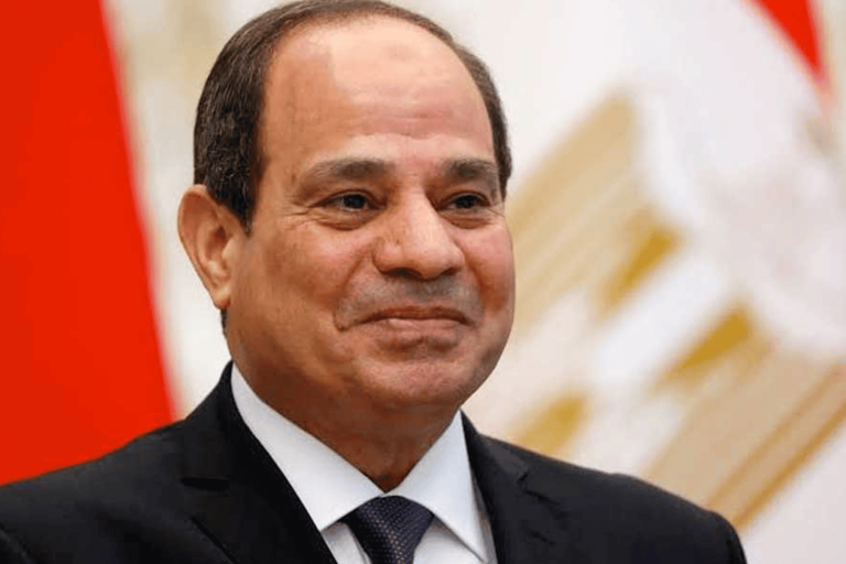 تعليق الرحلات الجوية الى مصر watanserb.com