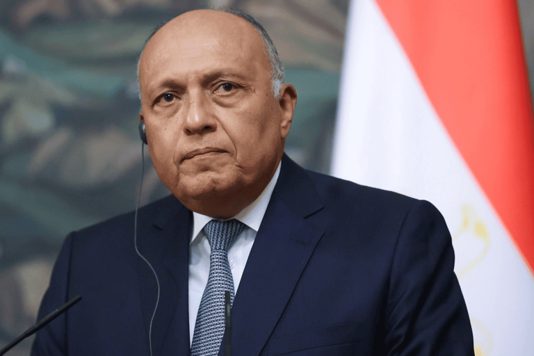وزير خارجية مصر watanserb.com