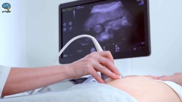 “معلومة قيمة”.. متى يبدأ قلب الجنين بالخفقان؟ متى يبدأ قلب الجنين بالخفقان