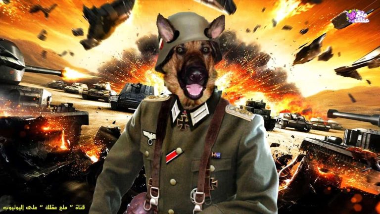 أغبى 10 حروب في التاريخ