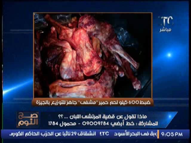 الغيطي معلقا على ضبط “600” كيلو لحم حمير جاهزة للتوزيع: ” أنا خايف وأنا بتكلم أنهق” ضبط "600" كيلو لحم حمير جاهزة للتوزيع