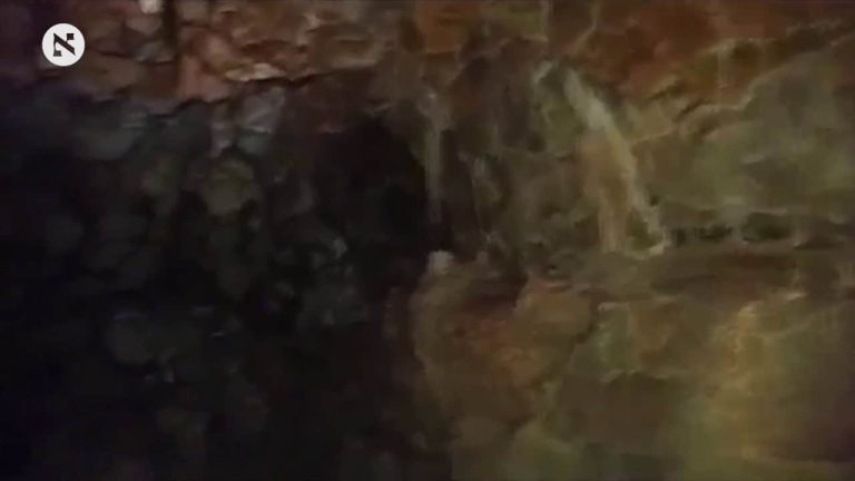 شاهد قمة الإثارة.. اكتشاف “مغارة العجائب” في الجليل المحتل "مغارة العجائب" في الجليل المحتل