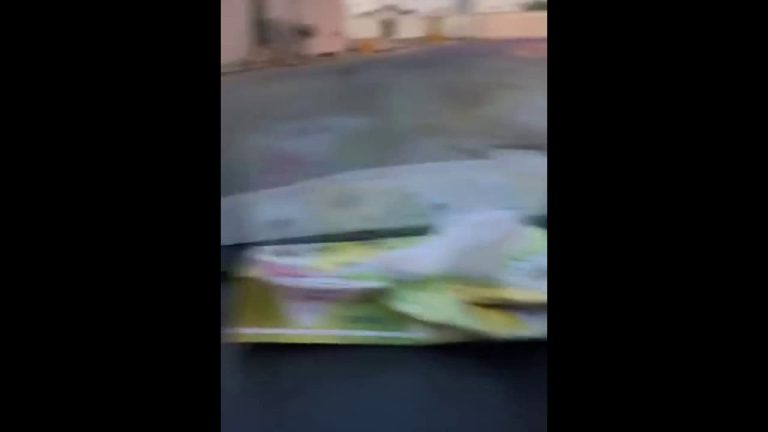 ذئب شارد يثير الرعب في الجوف السعودية
