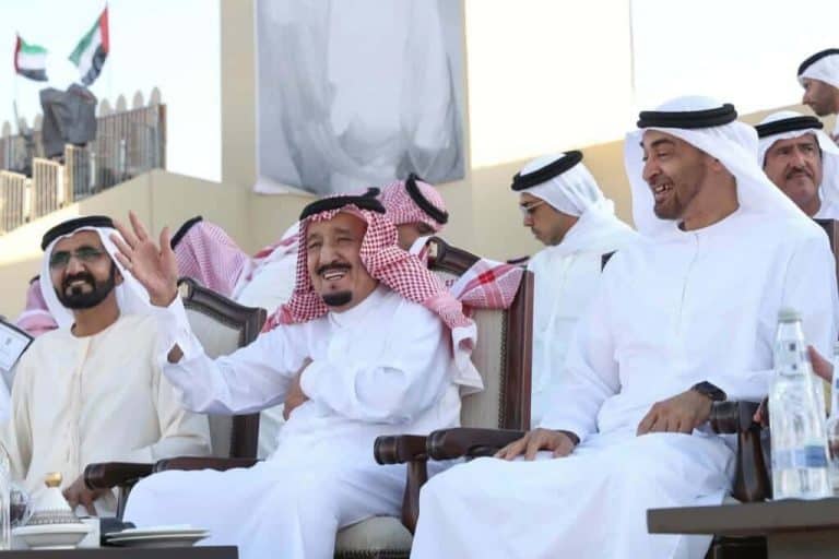 الملك سلمان وابن زايد watanserb.com
