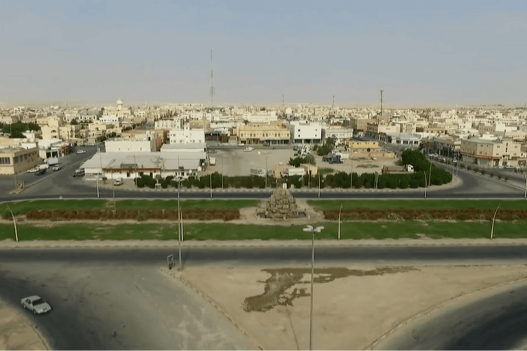 مسؤول إماراتي والحادث watanserb.com