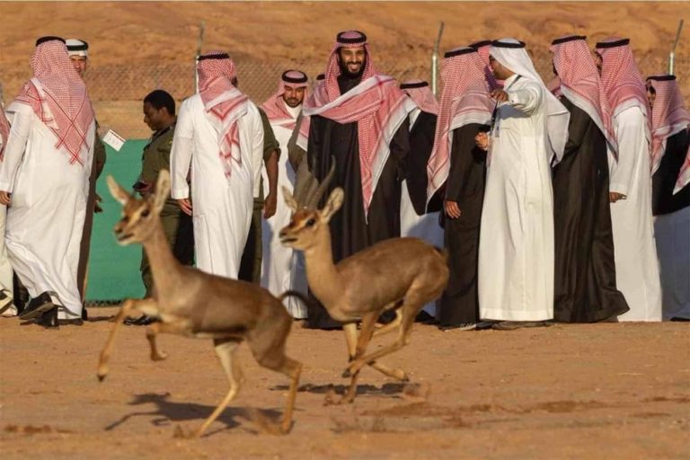 محمية شرعان watanserb.com