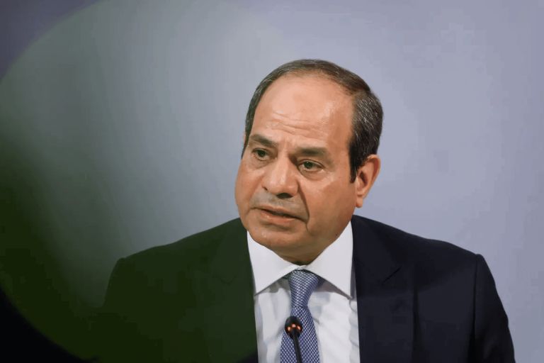 أذرع السيسي الإعلامية تنهار watanserb.com
