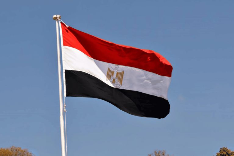 مواطن مصري صدم المذيعة watanserb.com