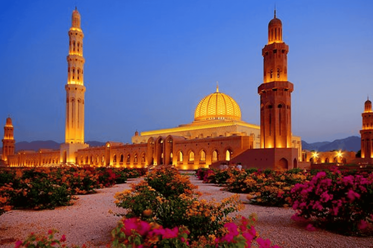 الداعية محمد العوضي watanserb.com
