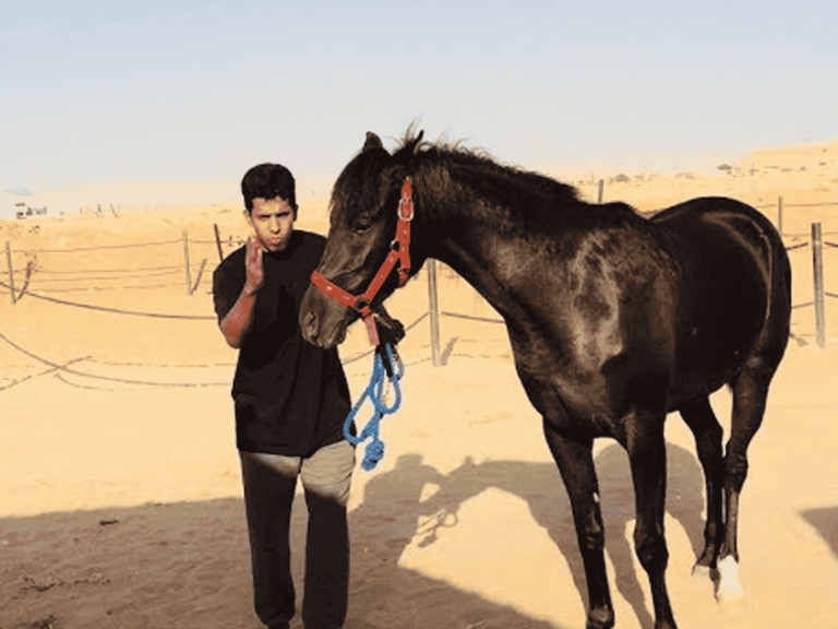 مصور عُماني شهير كاد أن يفقد حياته تحت أقدام الخيل .. ومشهد يحبس الأنفاس! مشهد يحبس الأنفاس watanserb.com