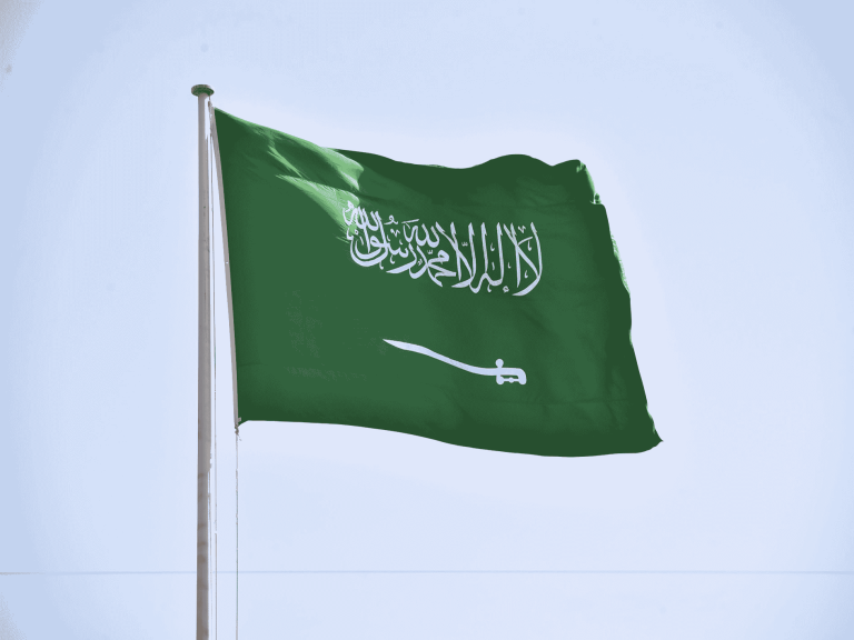 تعذيب أطفال سعوديين watanserb.com