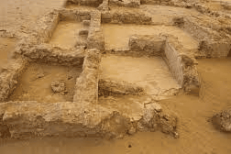 نظام المهداوي قناة أبوظبي watanserb.com