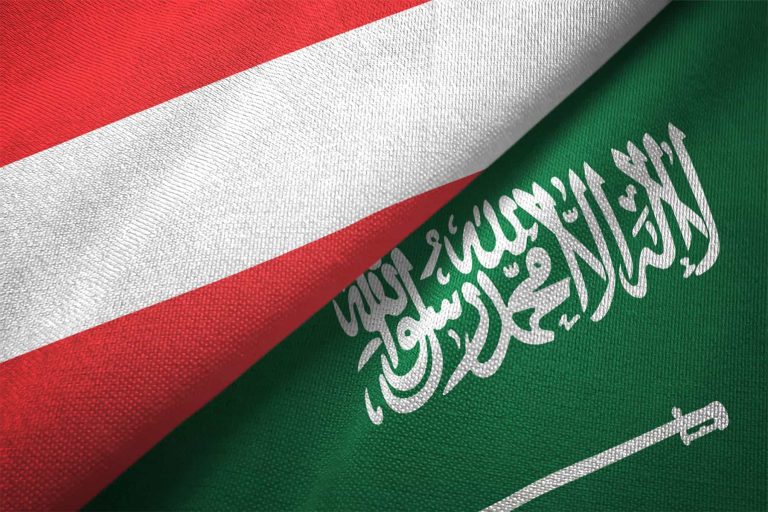 أزمة الرياض وفيينا watanserb.com