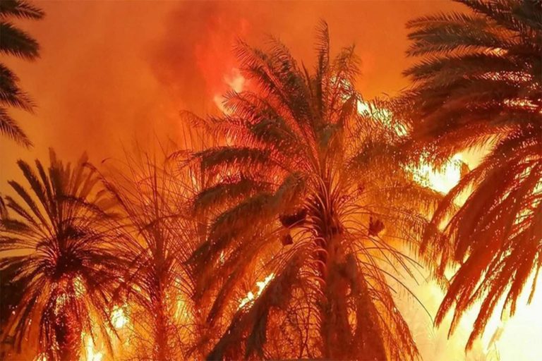 حريق في السعودية تزامنا مع انتهاء موسم العمرة حريق في السعودية watanserb.com
