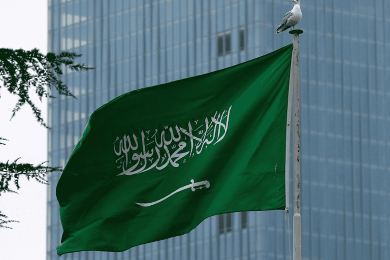 سعوديات يرتدين عباءاتهن بالمقلوب watanserb.com