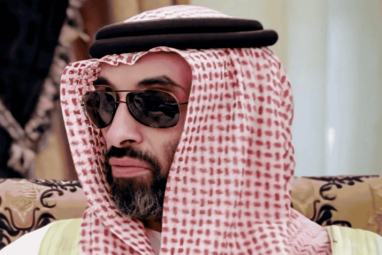اتصالات يجريها طحنون بن زايد watanserb.com