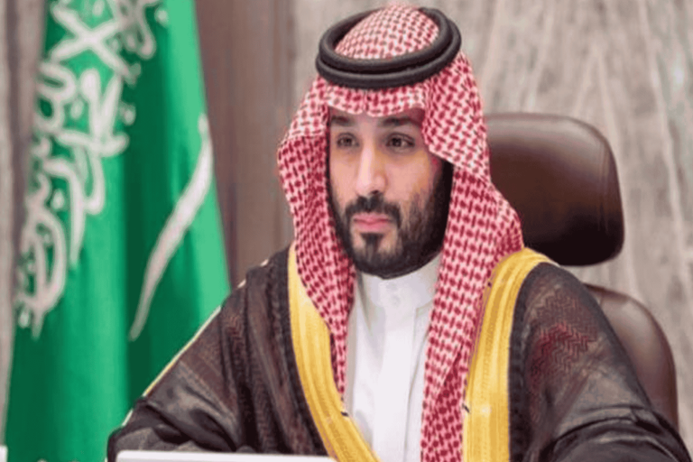 نظام محمد بن سلمان watanserb.com
