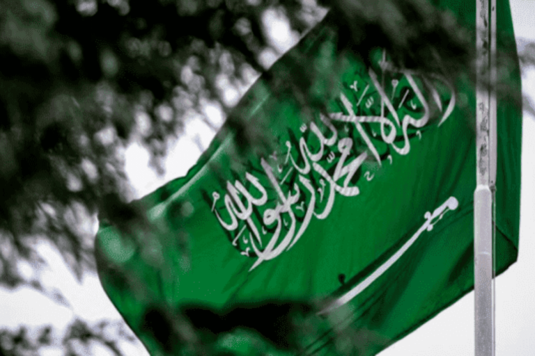 إنفلونزا الخنازير watanserb.com
