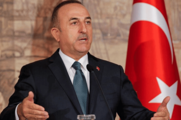 وزير الخارجية التركي ودحلان watanserb.com