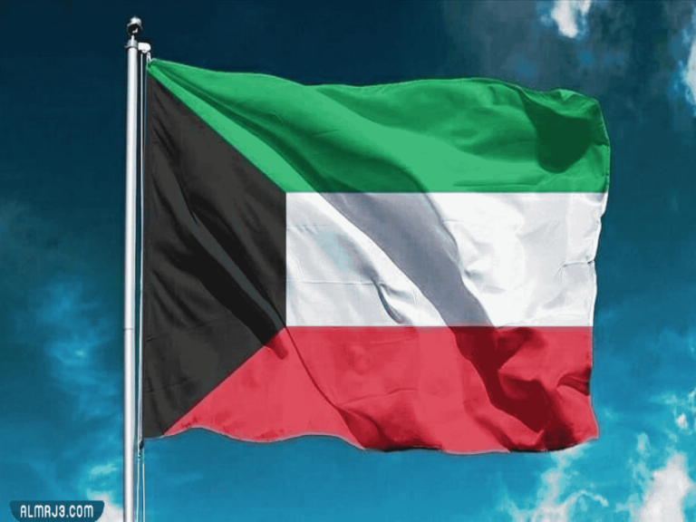 سيدة اعمال تلجأ الى السفارة الروسية watanserb.com