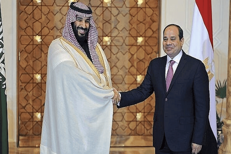 السيسي يشتم بن سلمان watanserb.com