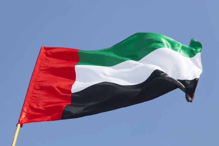ضبط شحنة أسلحة إماراتية watanserb.com