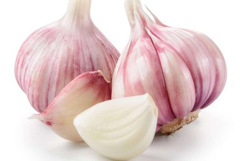 الثوم بديل الفياغرا watanserb.com