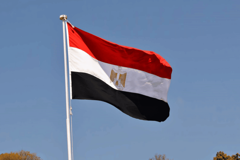 حفل المنصورة watanserb.com