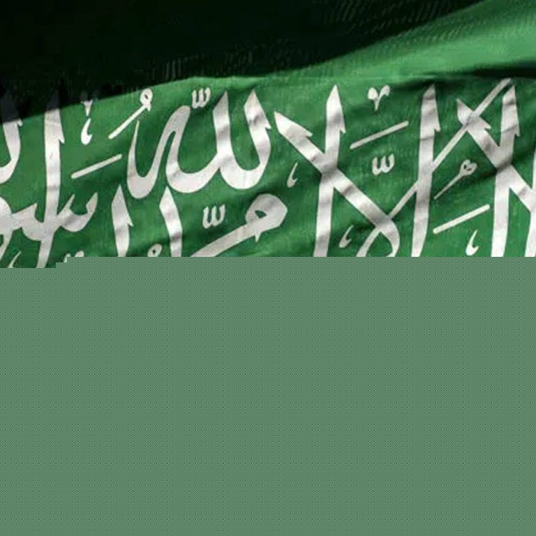 السعودية watanserb.com