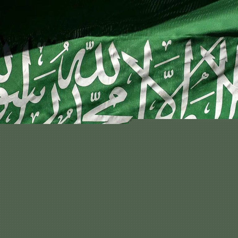 السعودية watanserb.com