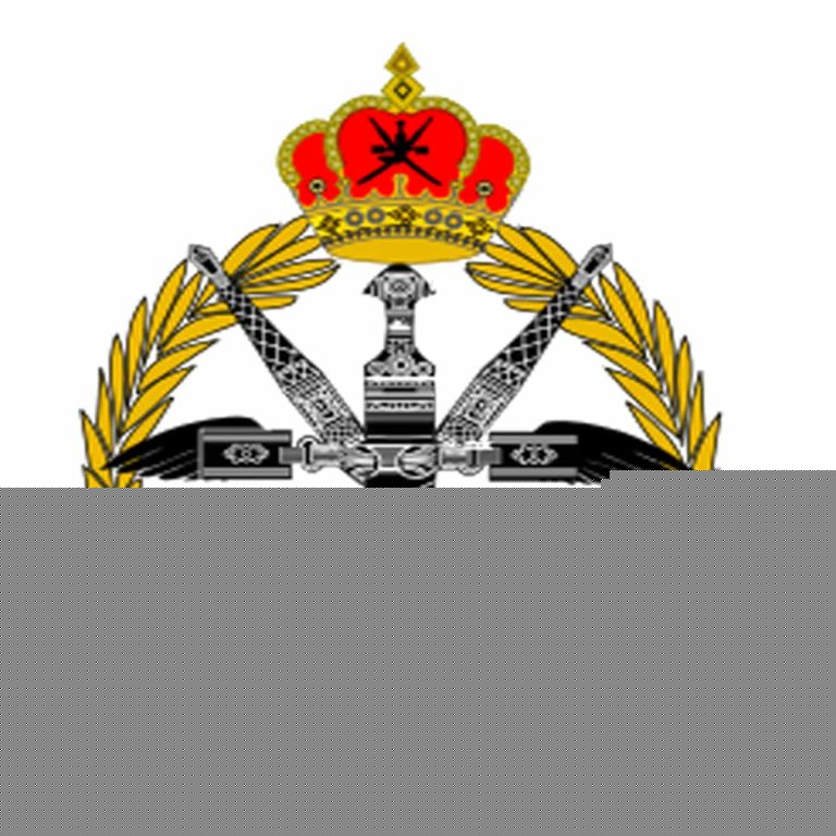 سلاح الجو السلطاني watanserb.com