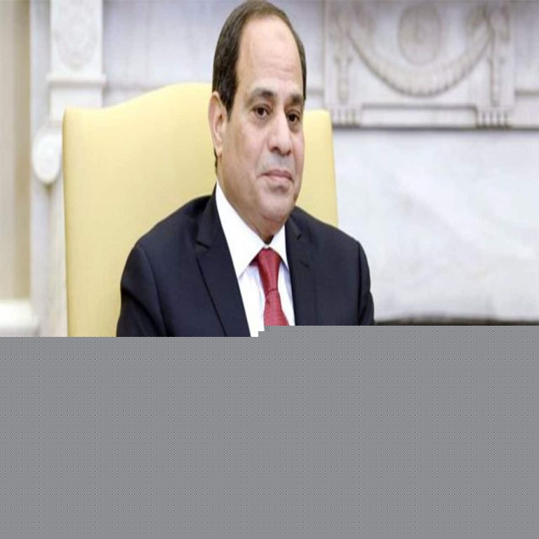 قرار نظام السيسي watanserb.com