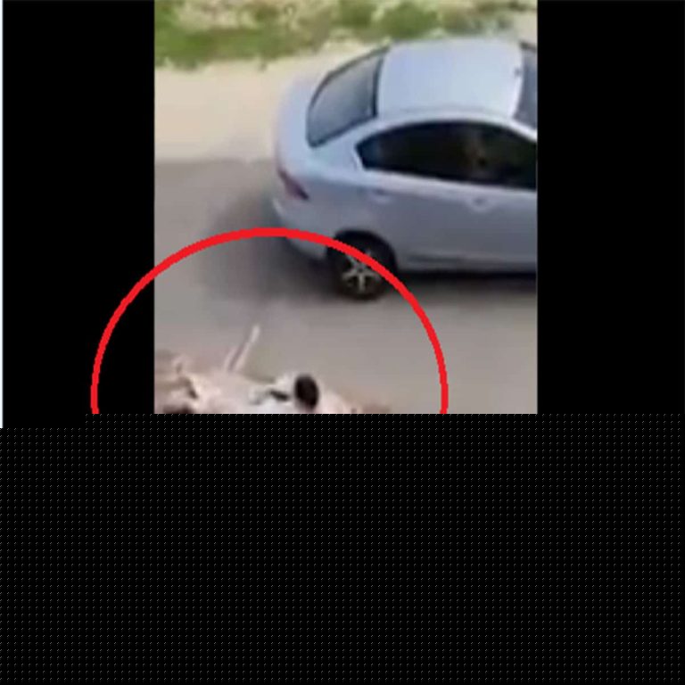 ميت يعود للحياة watanserb.com
