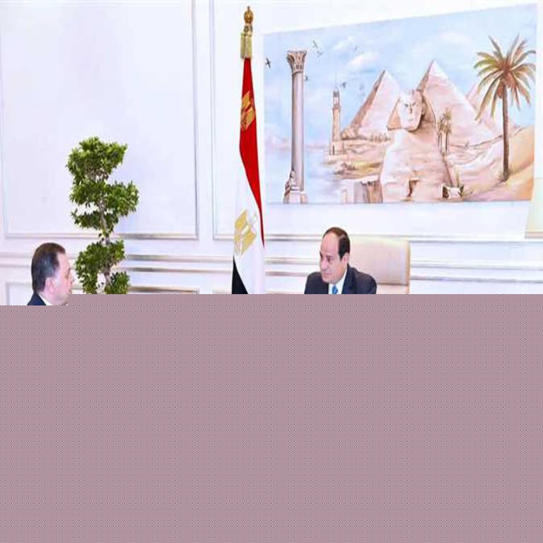 داخلية السيسي watanserb.com