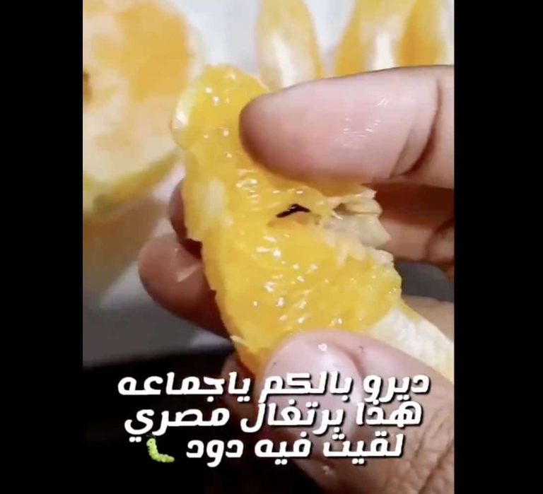 ما وجده كويتي داخل “برتقال” مستورد من مصر يعيد الجدل حول “منتجات الصرف الصحي” منتجات الصرف الصحي
