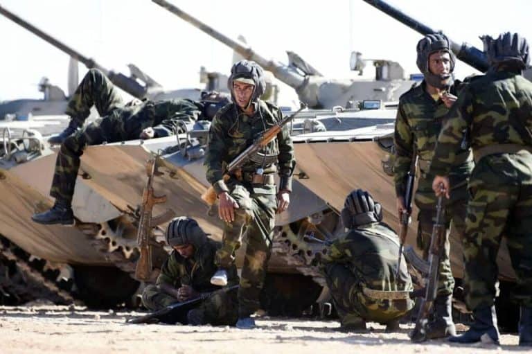 البوليساريو الجيش المغربي watanserb.com