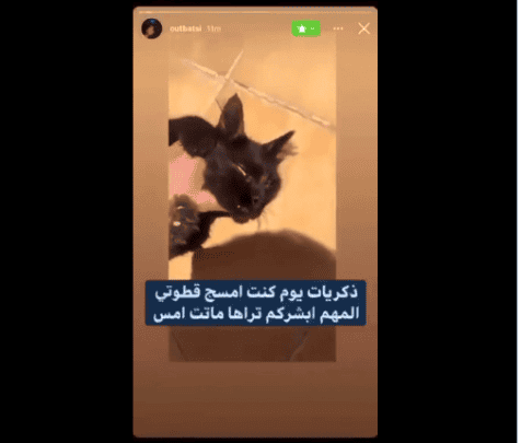 “مازن المتحرش بالقطط”.. “شاهد” ما فعله سعودي “قليل حياء” مع قطته حتى ماتت! صورة من الفيديو watanserb.com