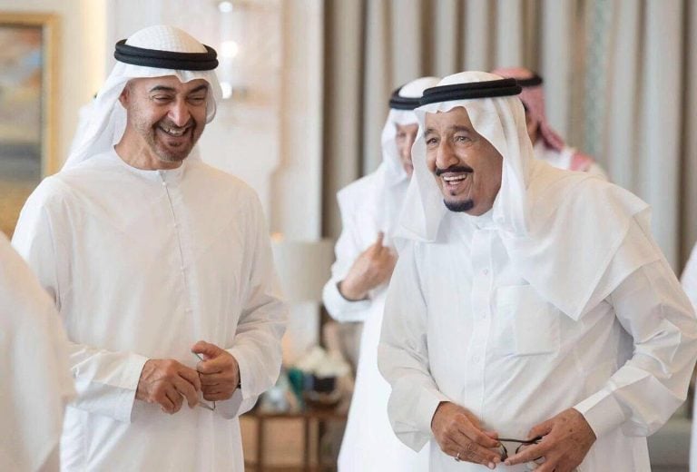 الملك سلمان ومحمد بن زايد watanserb.com