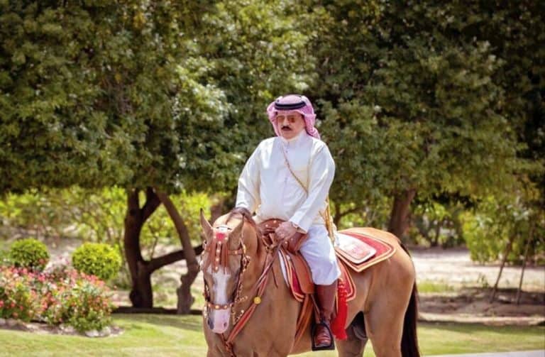 ملك البحرين حمد بن عيسى watanserb.com