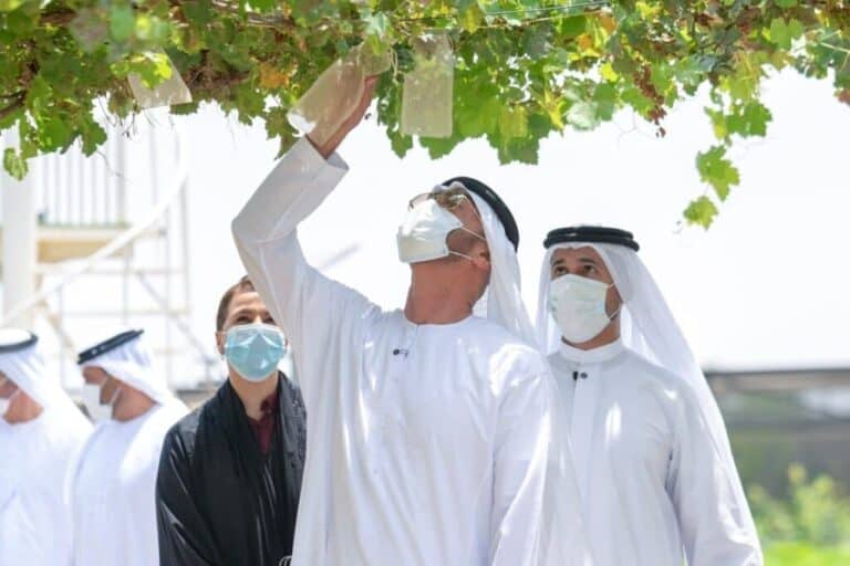 تغريدة عبدالخالق عبدالله أثارت جدلاً واسعاً watanserb.com