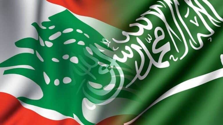 حظر دخول الفواكه والخضروات من لبنان الى السعودية بعد ضبط 2 مليون حبة مخدرات في الرمان watanserb.com