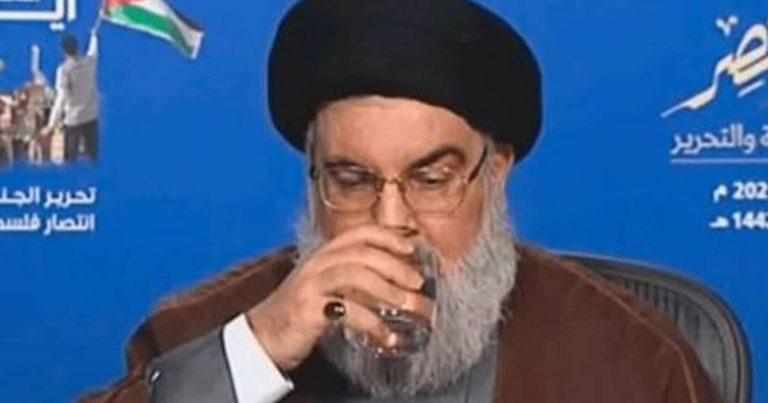 شفاء حسن نصرالله watanserb.com