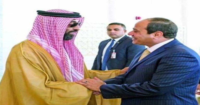 طحنون بن زايد والسيسي watanserb.com