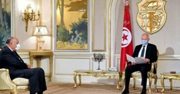 سامح شكري وتونس watanserb.com